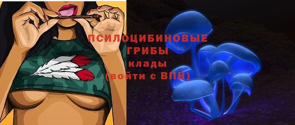mdpv Новозыбков