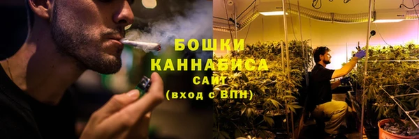 mdpv Новозыбков