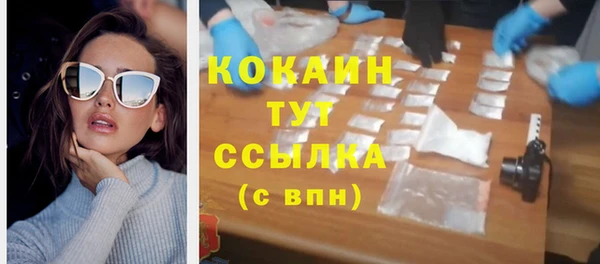 mdpv Новозыбков