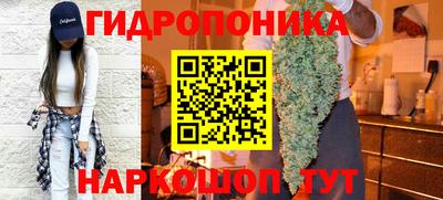 гидропоника Кулебаки