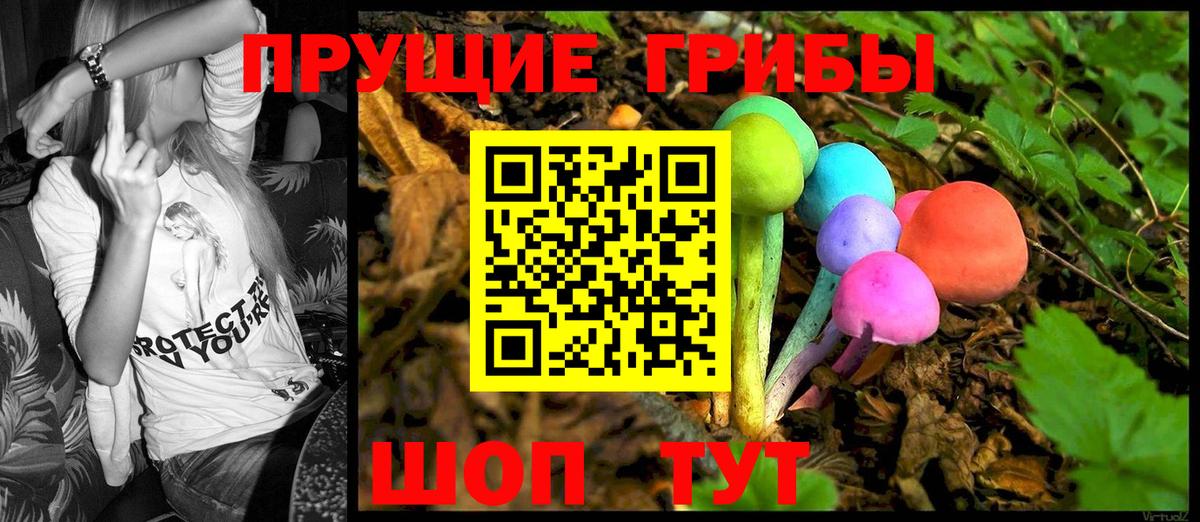Галлюциногенные грибы GOLDEN TEACHER Калининград