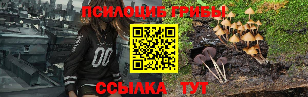 Калининград  Псилоцибиновые грибы ЛСД  Галлюциногенные грибы мицелий  где купить наркоту  Вход с VPN 